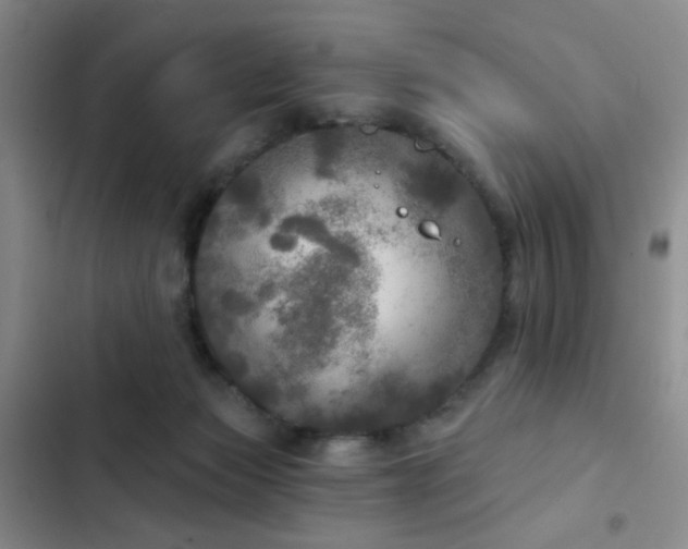 X0000103220173200808281416