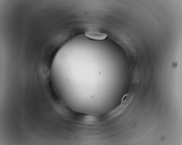 X0000103220176200808281416