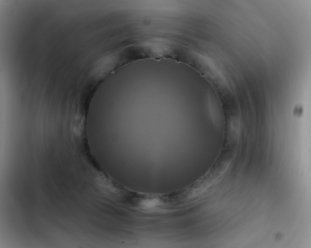 X0000103220177200808281416