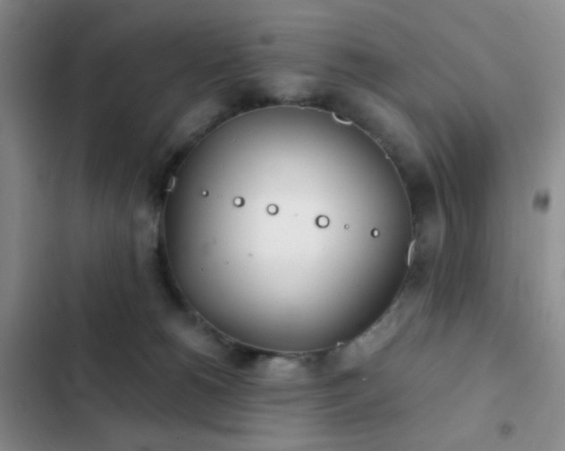 X0000103220180200808281416