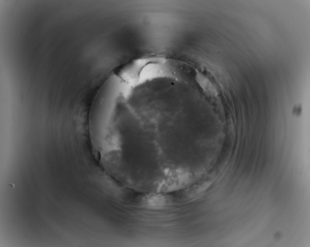 X0000103220181200808281416