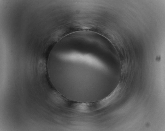 X0000103220182200808281416