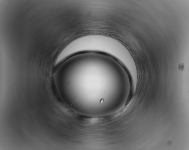 X0000103220184200808281416