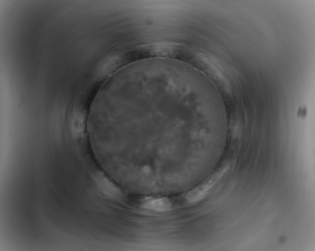 X0000103220185200808281416