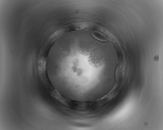 X0000103220191200808281416