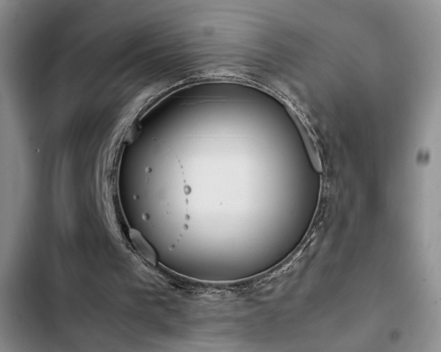 X0000103220193200808281415