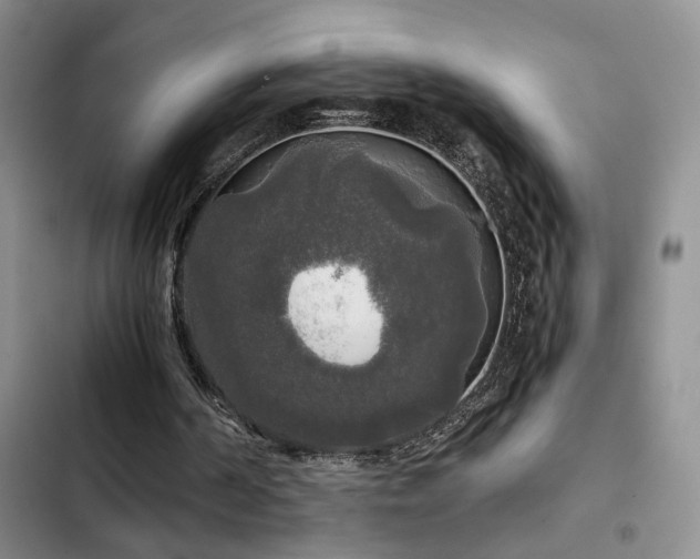 X0000103220194200808281415