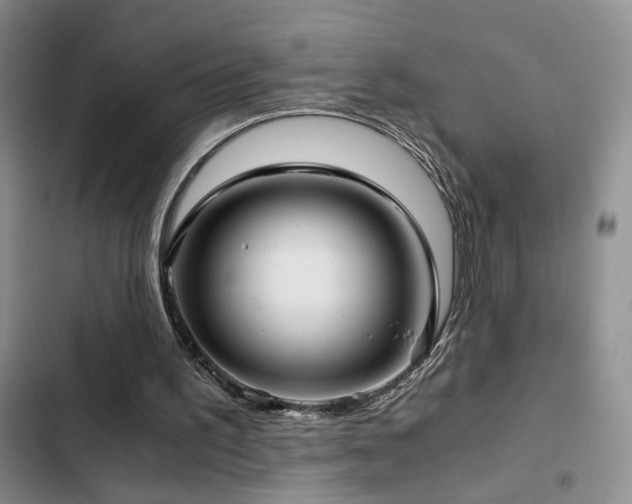 X0000103220195200808281415