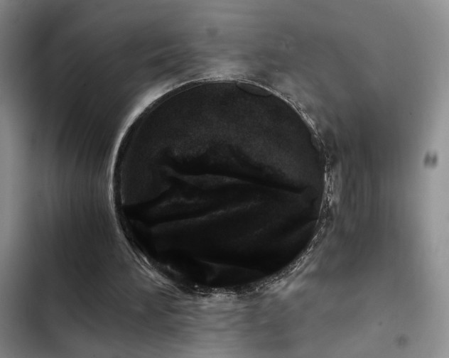 X0000103220196200808281415