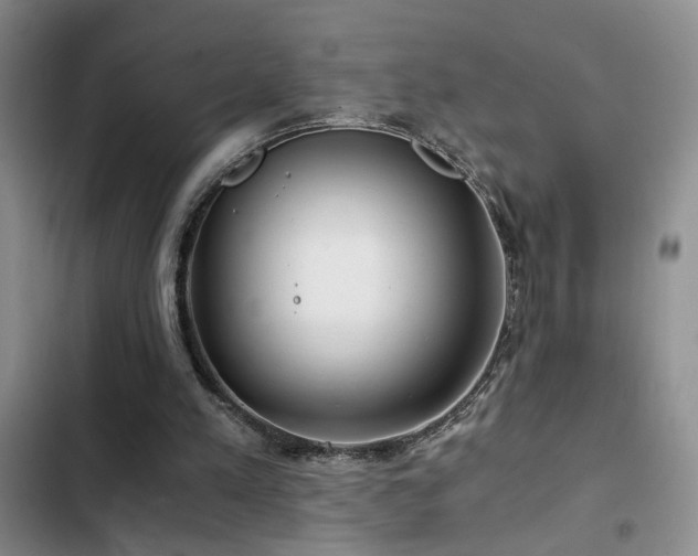 X0000103220197200808281415