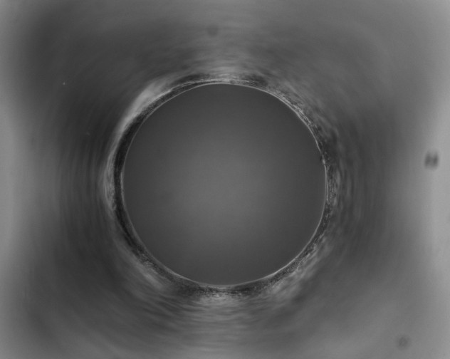 X0000103220198200808281415