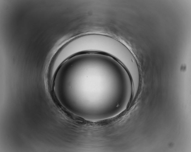 X0000103220199200808281415