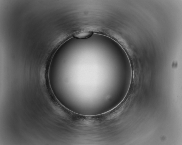 X0000103220201200808281415