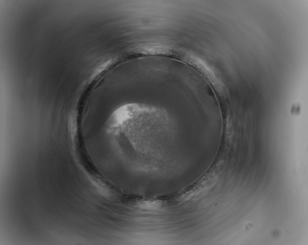 X0000103220202200808281415