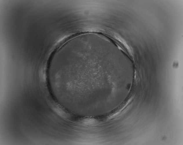 X0000103220203200808281415