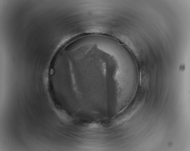 X0000103220204200808281415