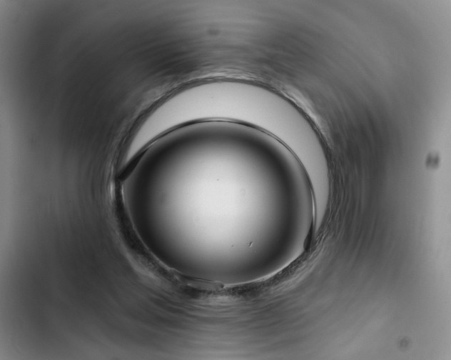 X0000103220205200808281415