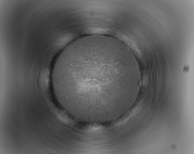 X0000103220206200808281415