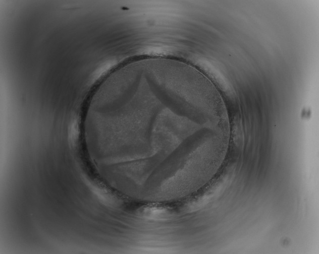 X0000103220208200808281415