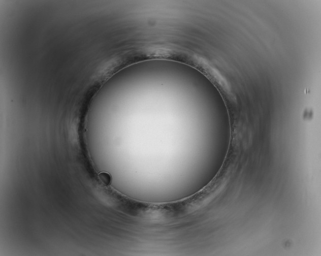 X0000103220209200808281415