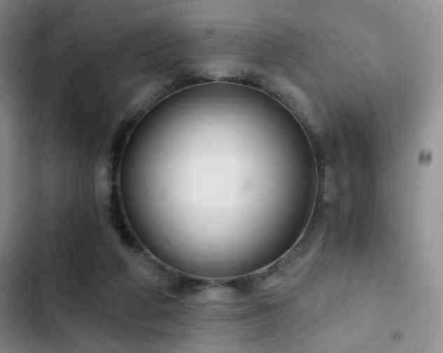 X0000103220210200808281415