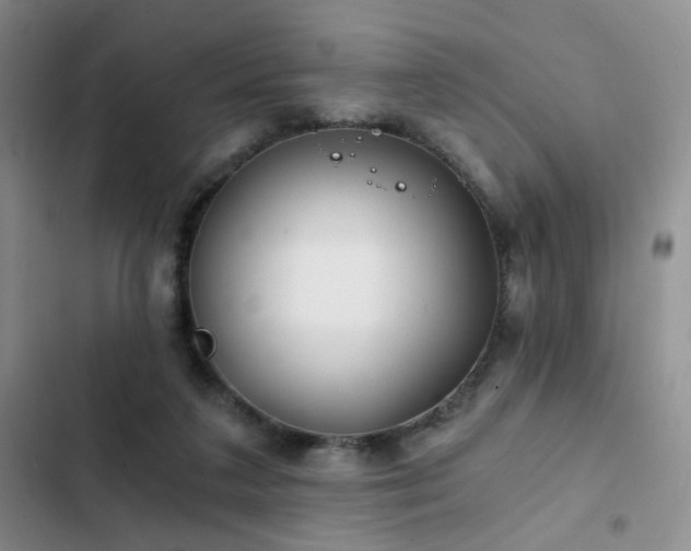 X0000103220211200808281415