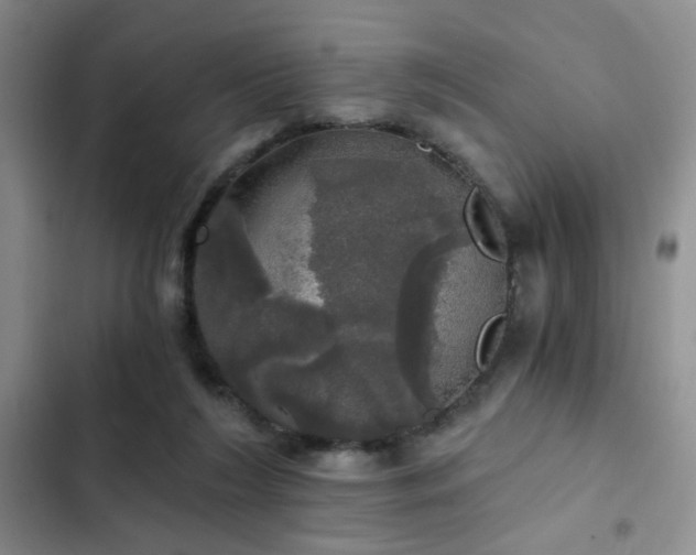 X0000103220212200808281415