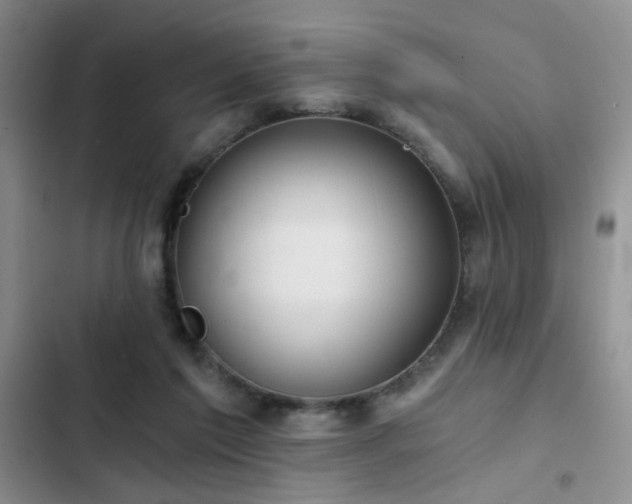 X0000103220213200808281415