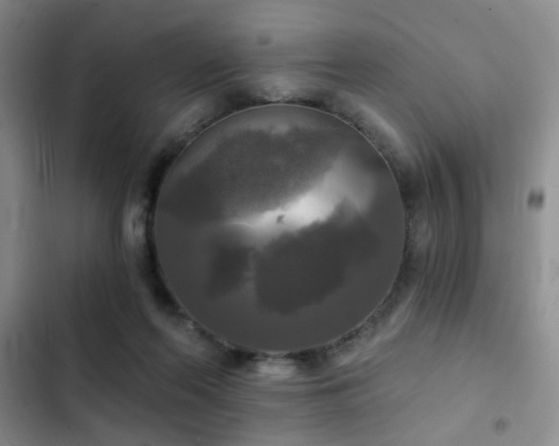 X0000103220214200808281415