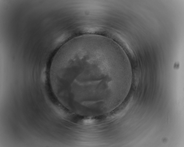 X0000103220216200808281415