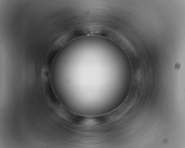 X0000103220218200808281415