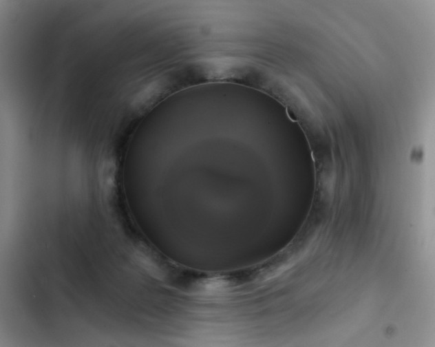 X0000103220219200808281415