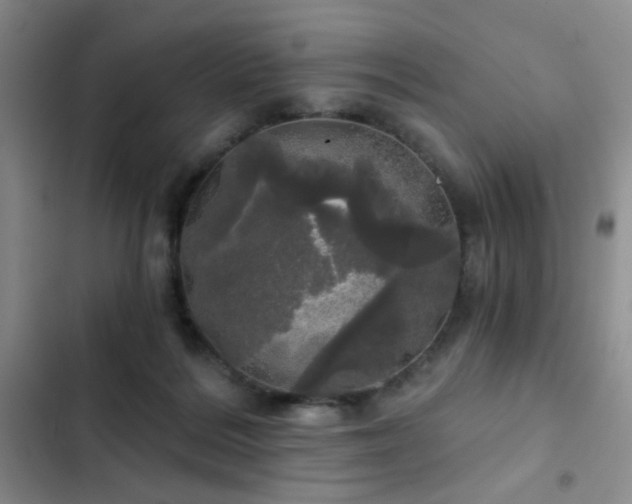 X0000103220220200808281415