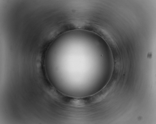 X0000103220221200808281415