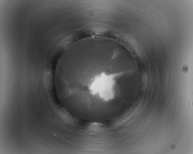 X0000103220222200808281415