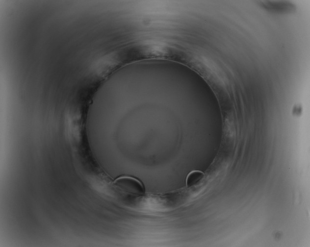 X0000103220223200808281415