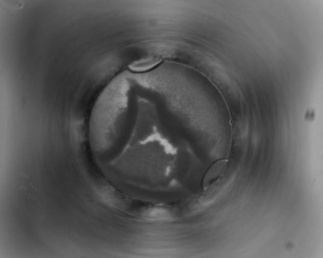 X0000103220224200808281415