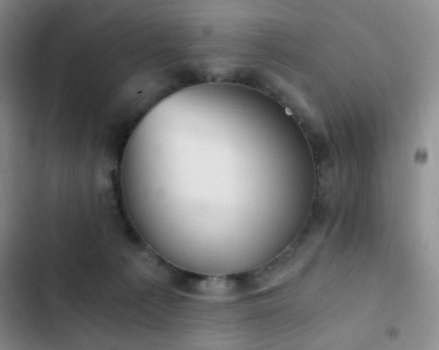 X0000103220225200808281415