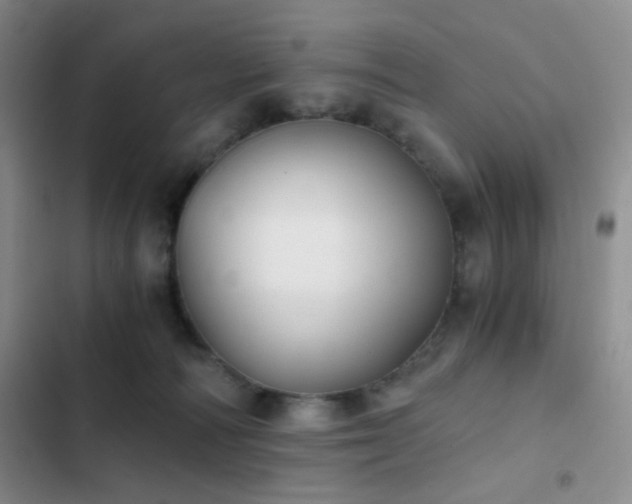 X0000103220226200808281415