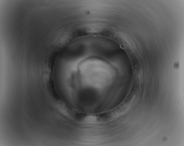 X0000103220227200808281415