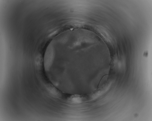 X0000103220228200808281415