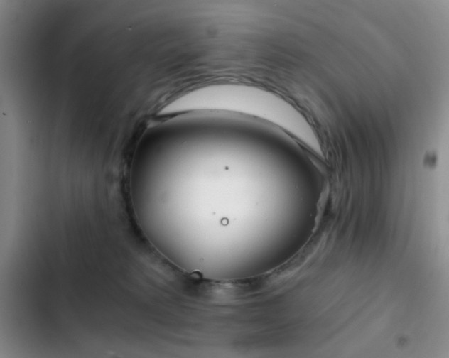 X0000103220229200808281415