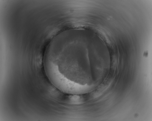 X0000103220230200808281415