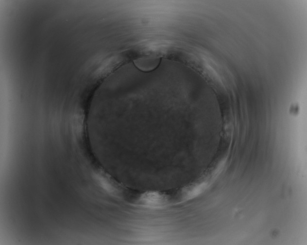 X0000103220231200808281415