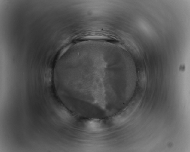 X0000103220232200808281415