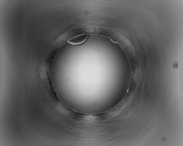 X0000103220233200808281415