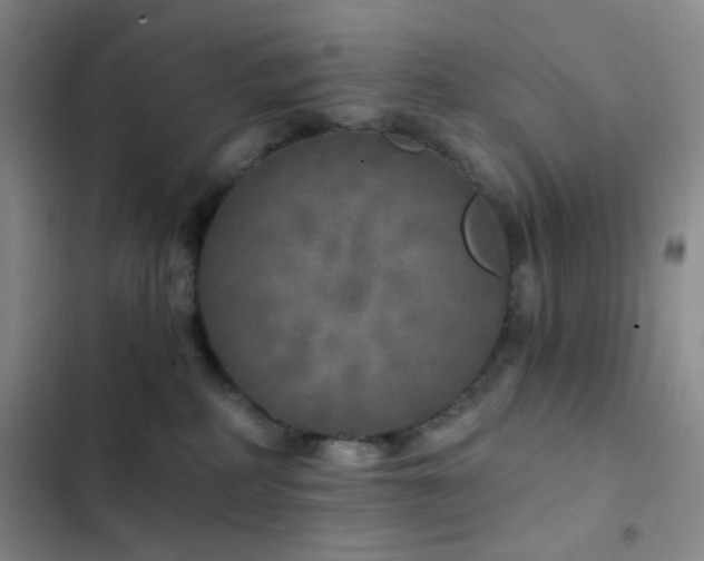 X0000103220234200808281415