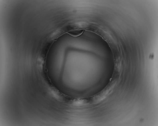 X0000103220235200808281415