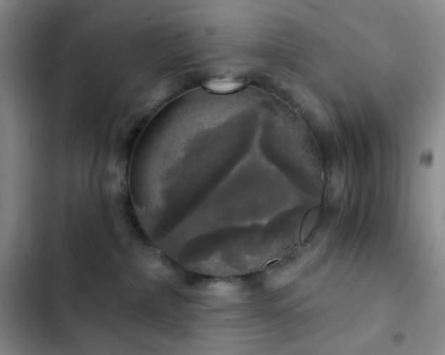 X0000103220236200808281415