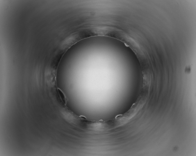 X0000103220237200808281415